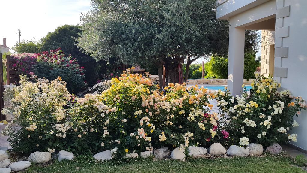 Jaime Villa Cyprus Argaka Ngoại thất bức ảnh